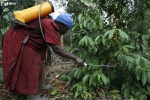a coffee farmer sprays her trees with pesticides on her farm